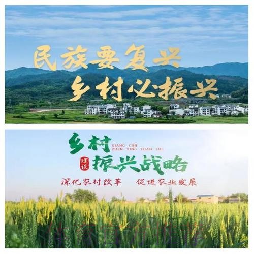 扎实推进精准帮扶 体育赋能乡村振兴 扎实推进精准帮扶 体育赋能乡村振兴